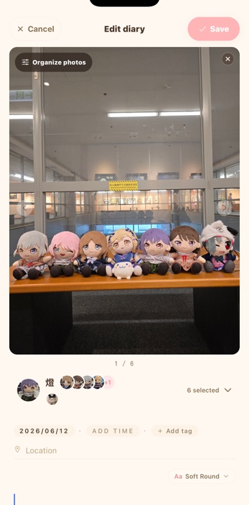 A photo entry being saved in NuiDiary