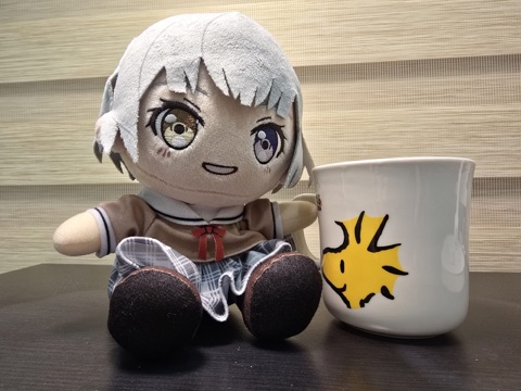マグカップとぬいぐるみを撮った最初の日記写真