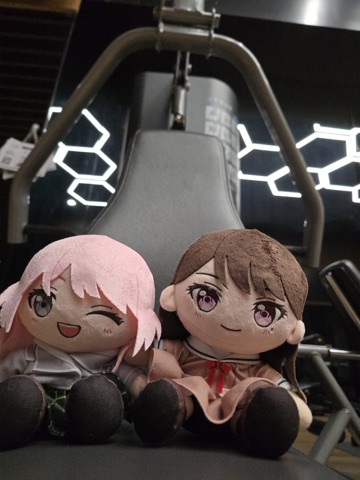 明るい背景で撮ったぬいぐるみ