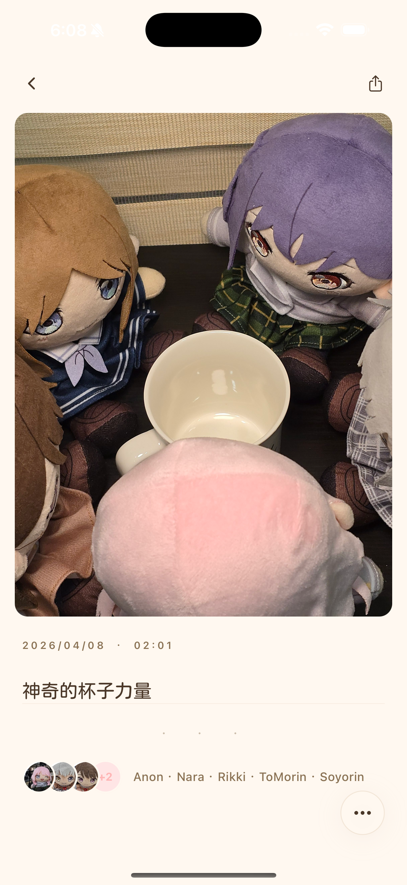 NuiDiary の日記詳細画面